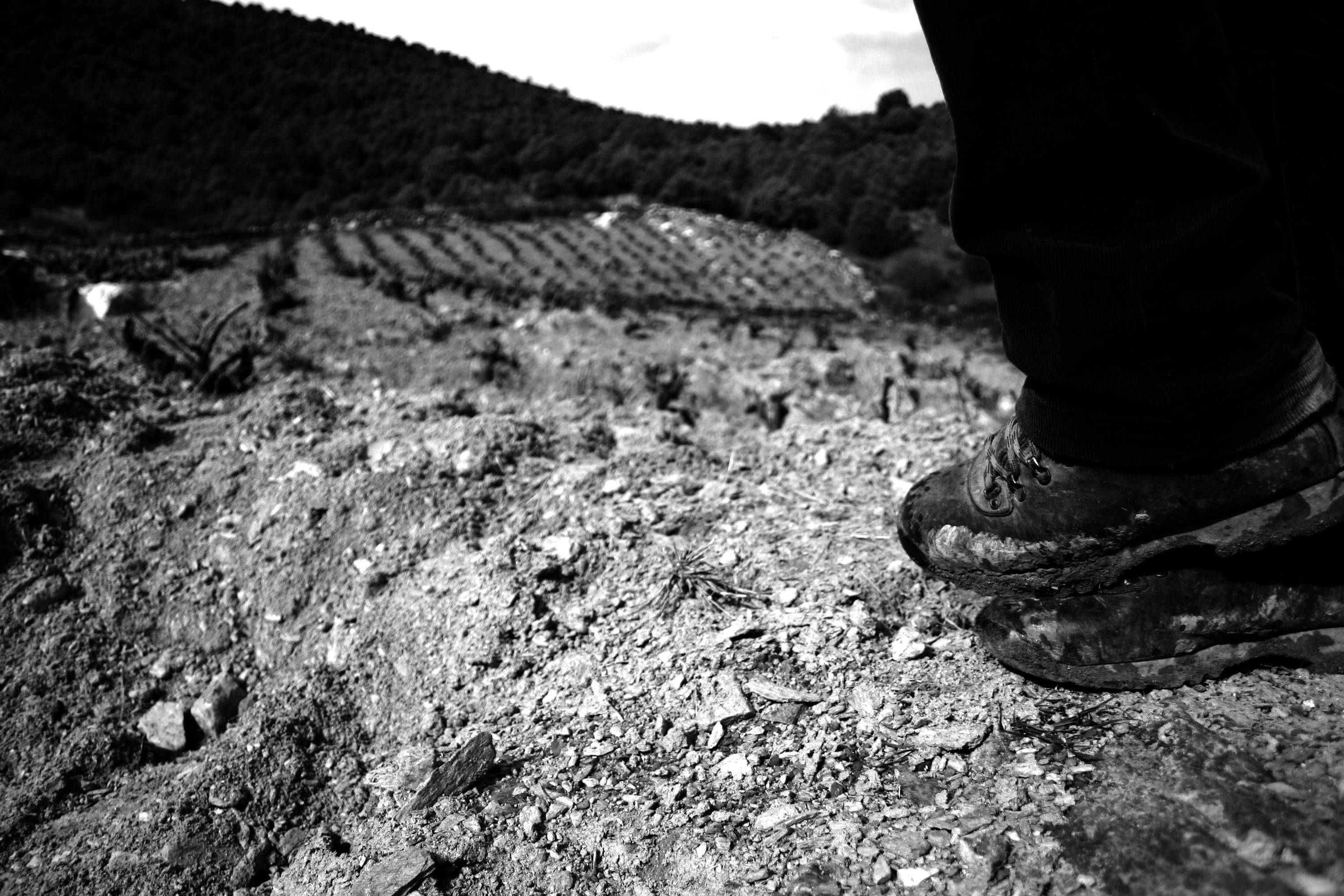 Parched + Side Piece Present: Curro Barreño (Vitícola Mentridana & Fedellos)