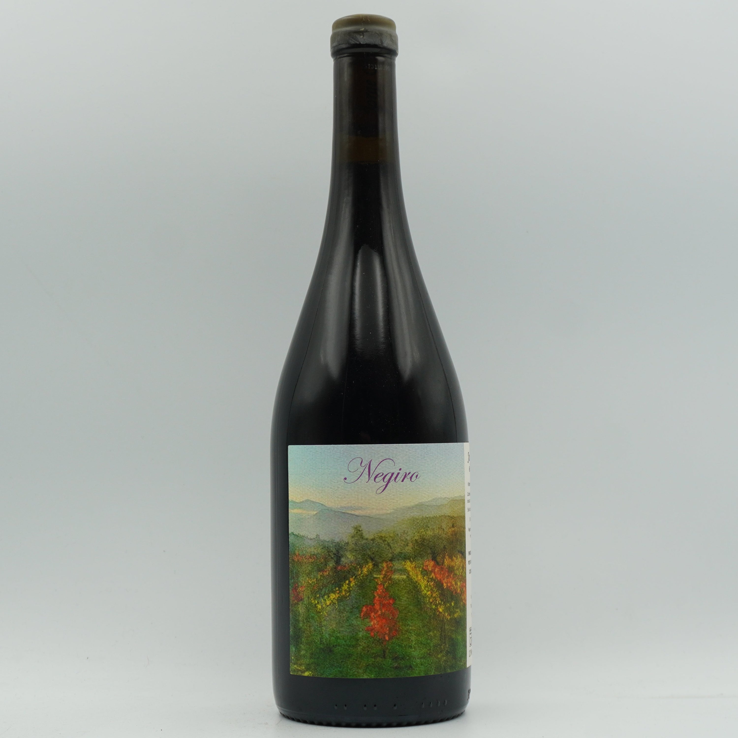 Jorge Olivera, Negiro 2023