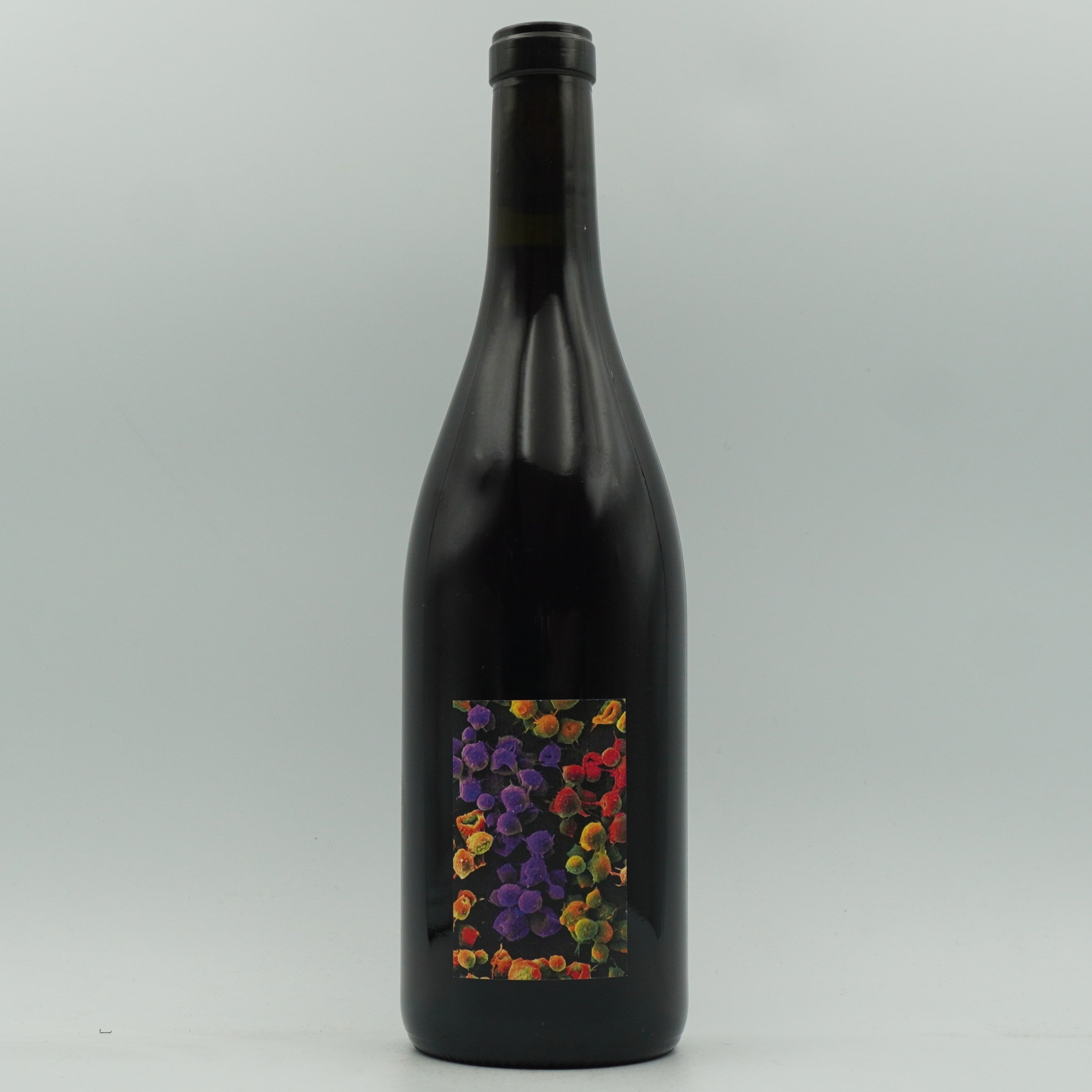 Allante & Boulanger, 'Gamay Montaizin' 2024 - Mystery Pack