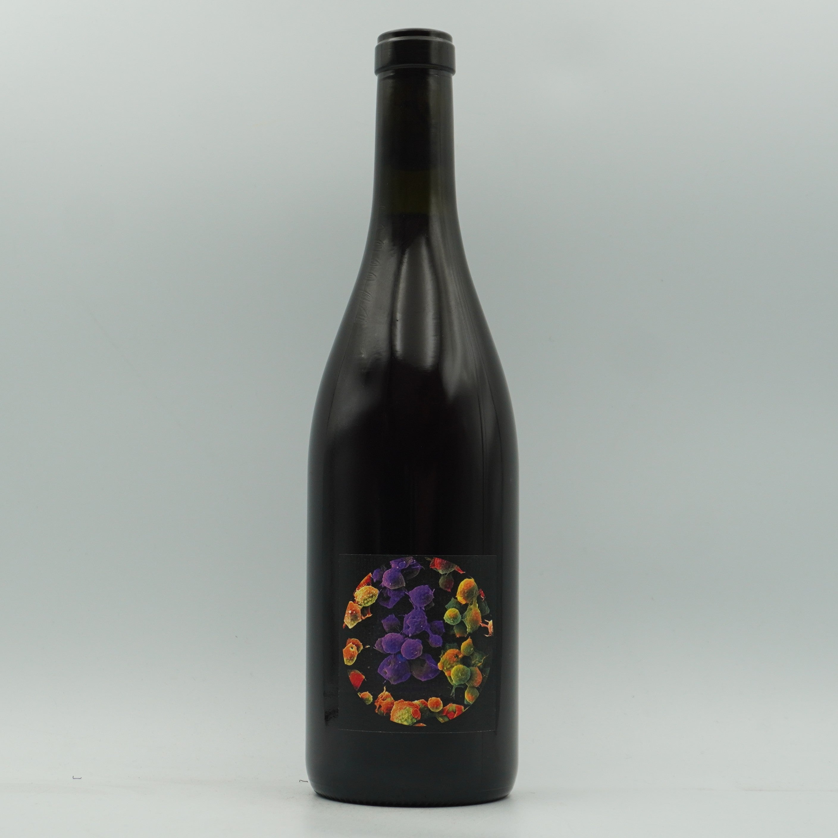Allante & Boulanger, 'Pinot d'Aunis' 2024 - Mystery Pack