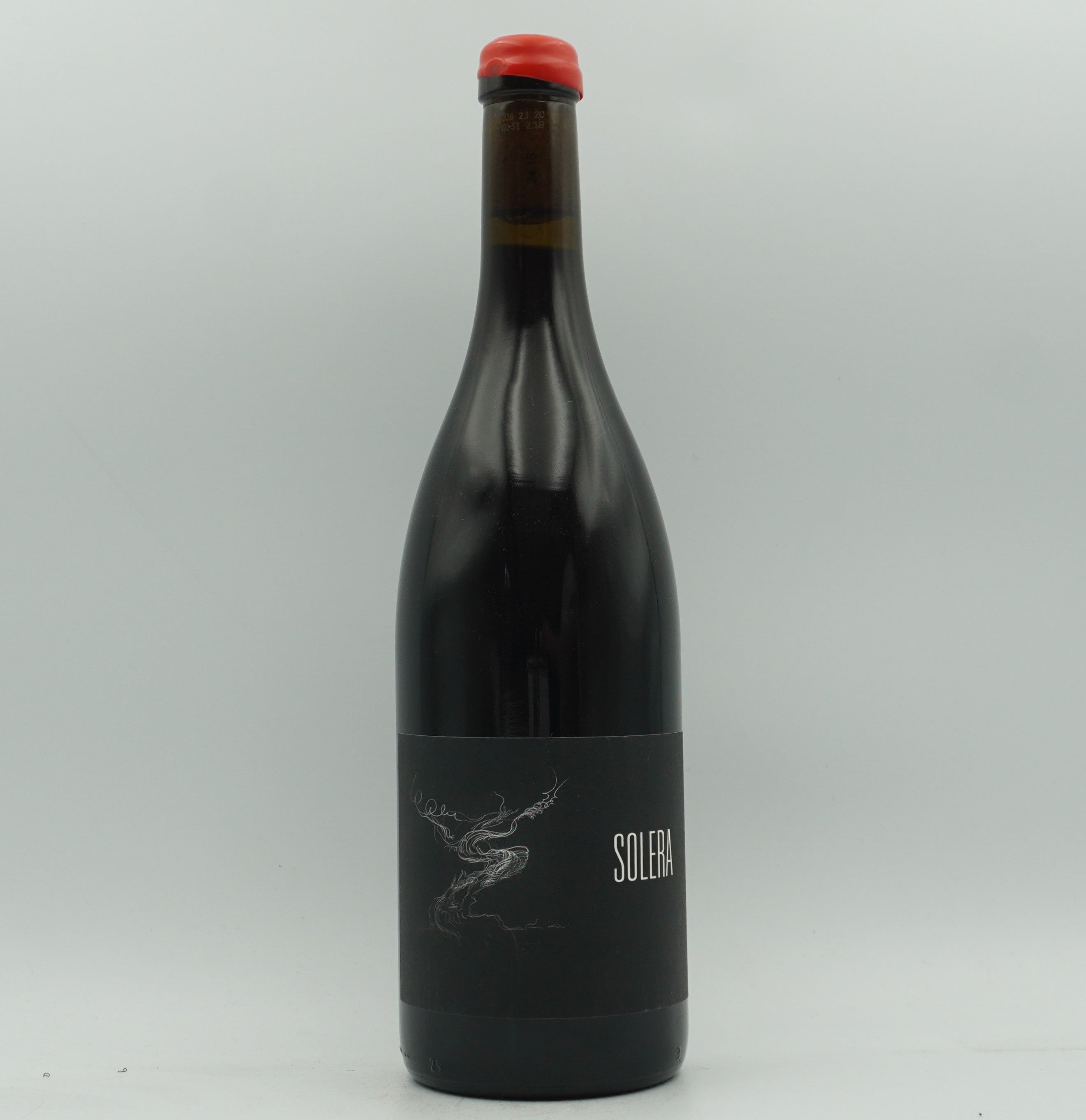 Arnaud Lopez, Solera NV