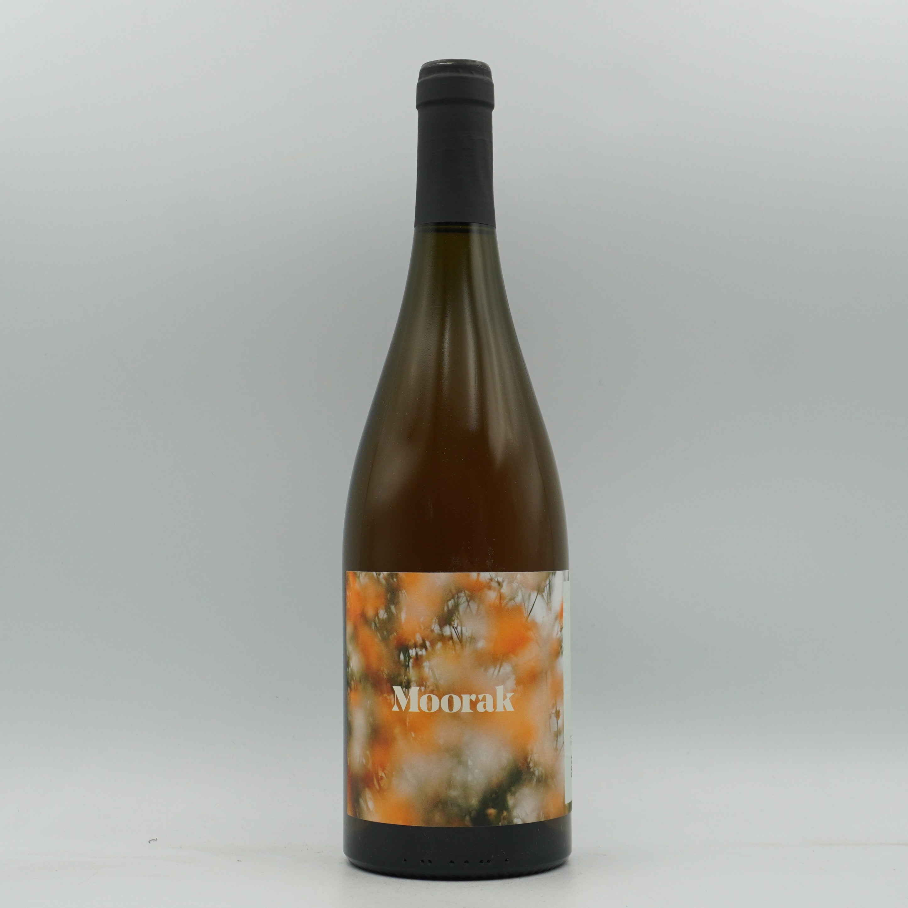 Moorak, Rose 2024
