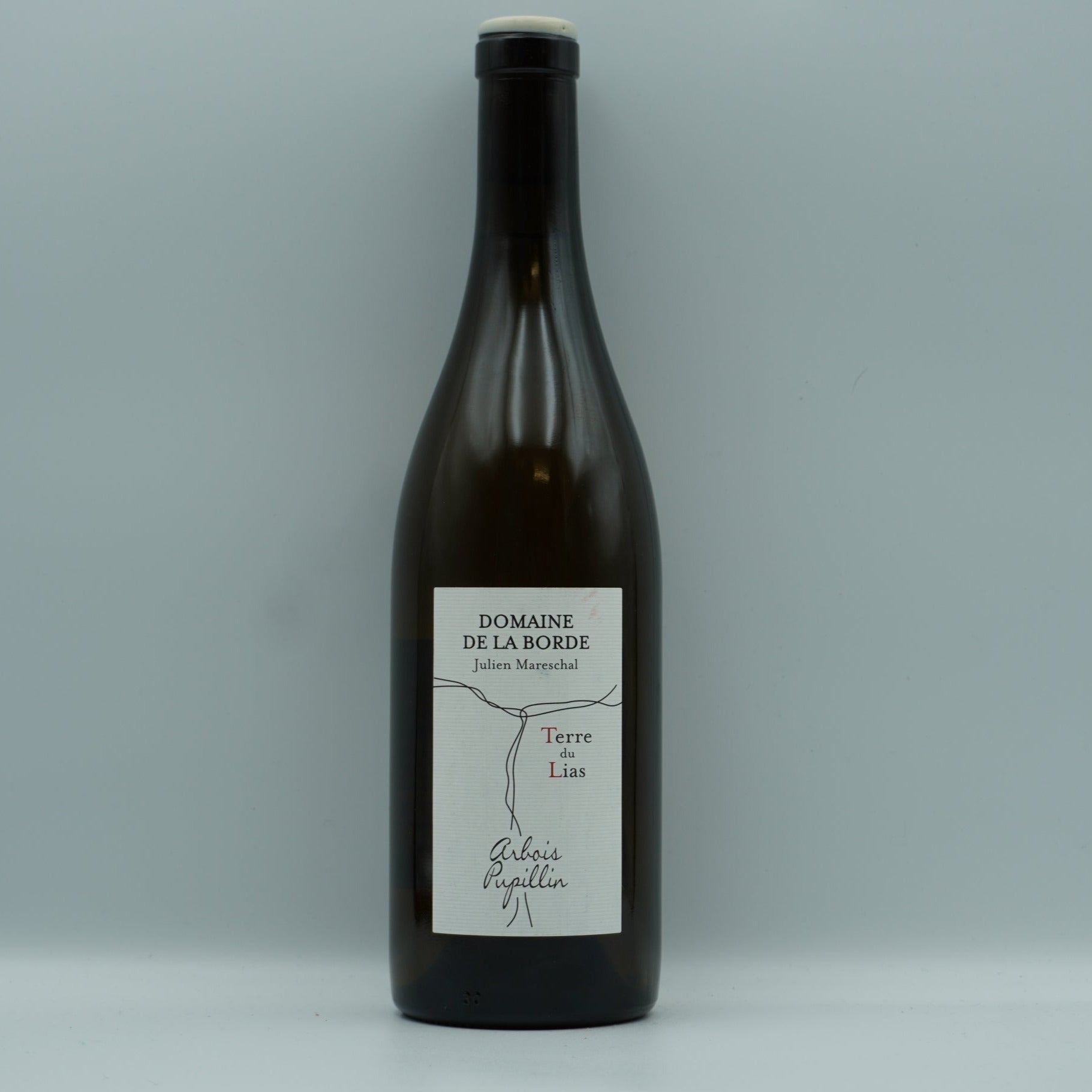 Domaine de la Borde, Chardonnay 'Terre du Lias' 2022