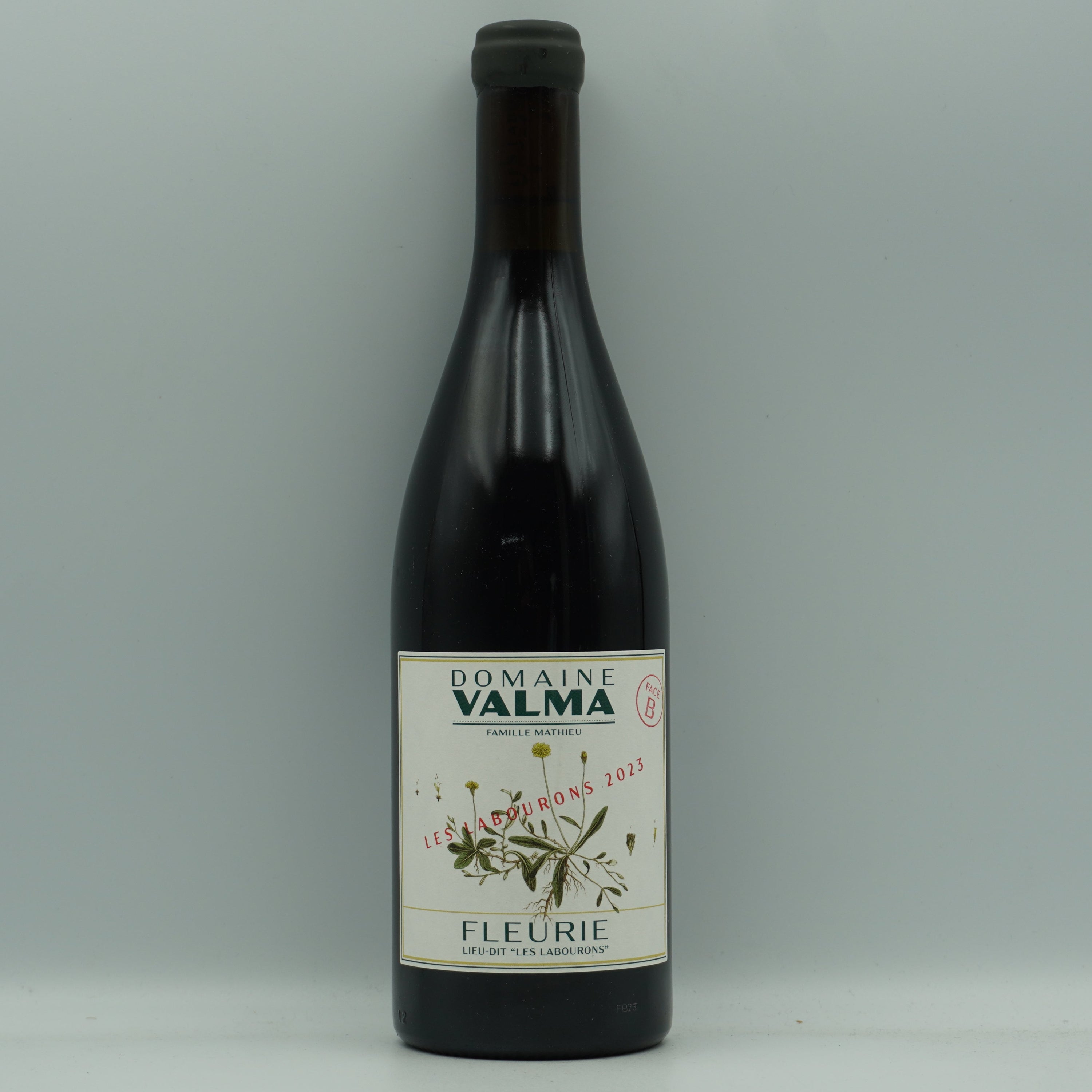 Domaine Valma, Fleurie Lieu-Dît 'Face B' 2023