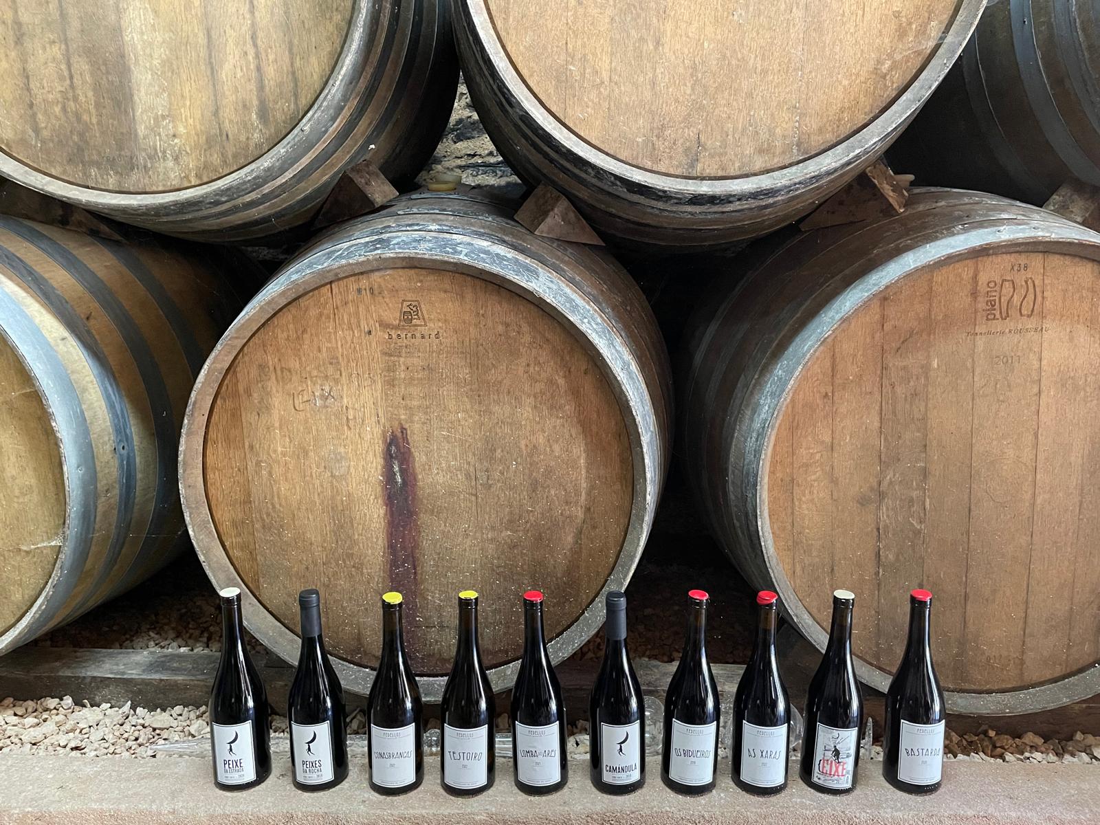 Parched + Side Piece Present: Curro Barreño (Vitícola Mentridana & Fedellos)